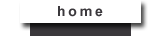 home button